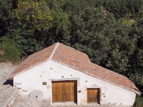 Molino