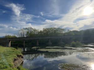 IMG_4419